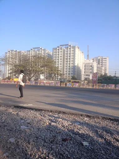video image