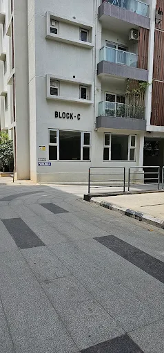 video image